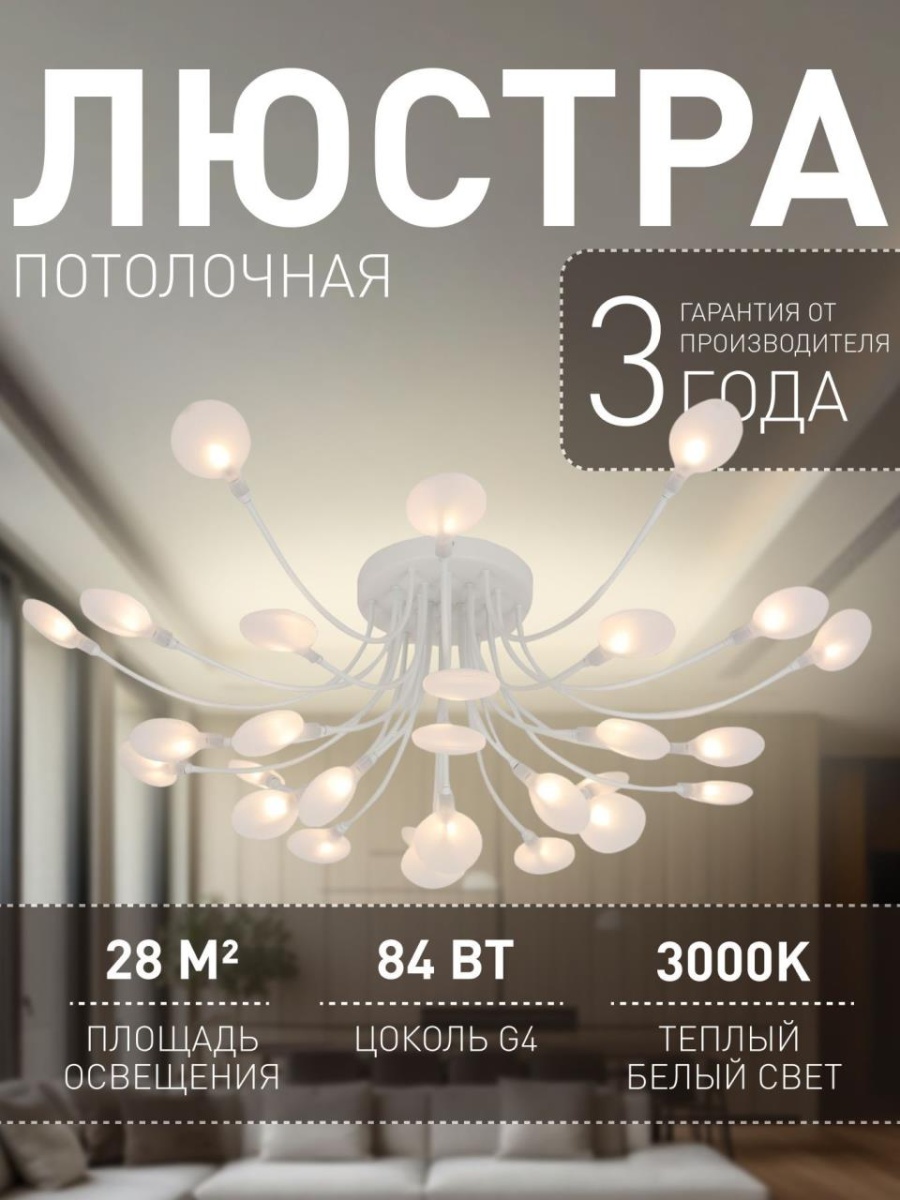 card-img