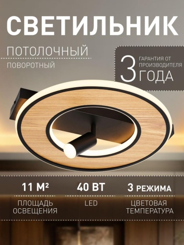 Потолочный светильник 4438-2C