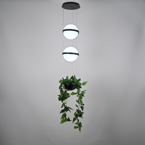 Подвесной светильник PALMA Wall lamp 2 шара + 1 вазон 168491-22