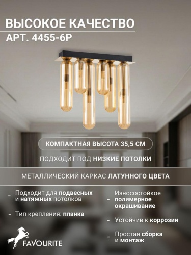 Потолочный светильник 4455-6P