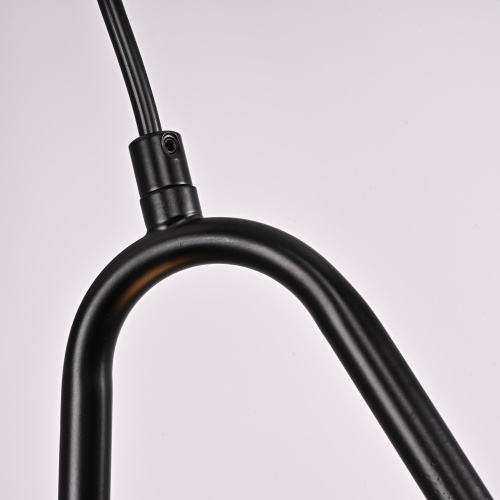Подвесной светильник HOOP DROP Black 213738-26
