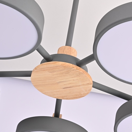 Потолочная люстра MOVE 5 Gray 178249-26