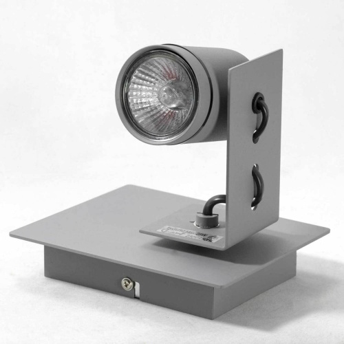 Спот Lussole SY2208