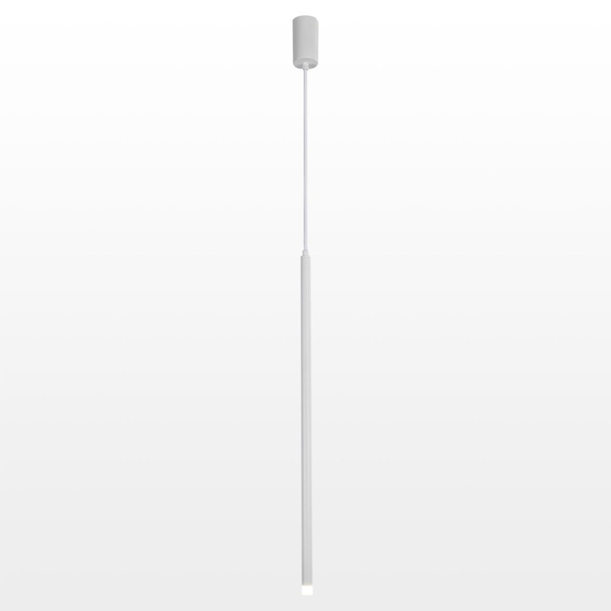 card-img