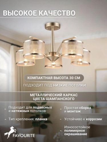 Потолочная люстра 2488-5P