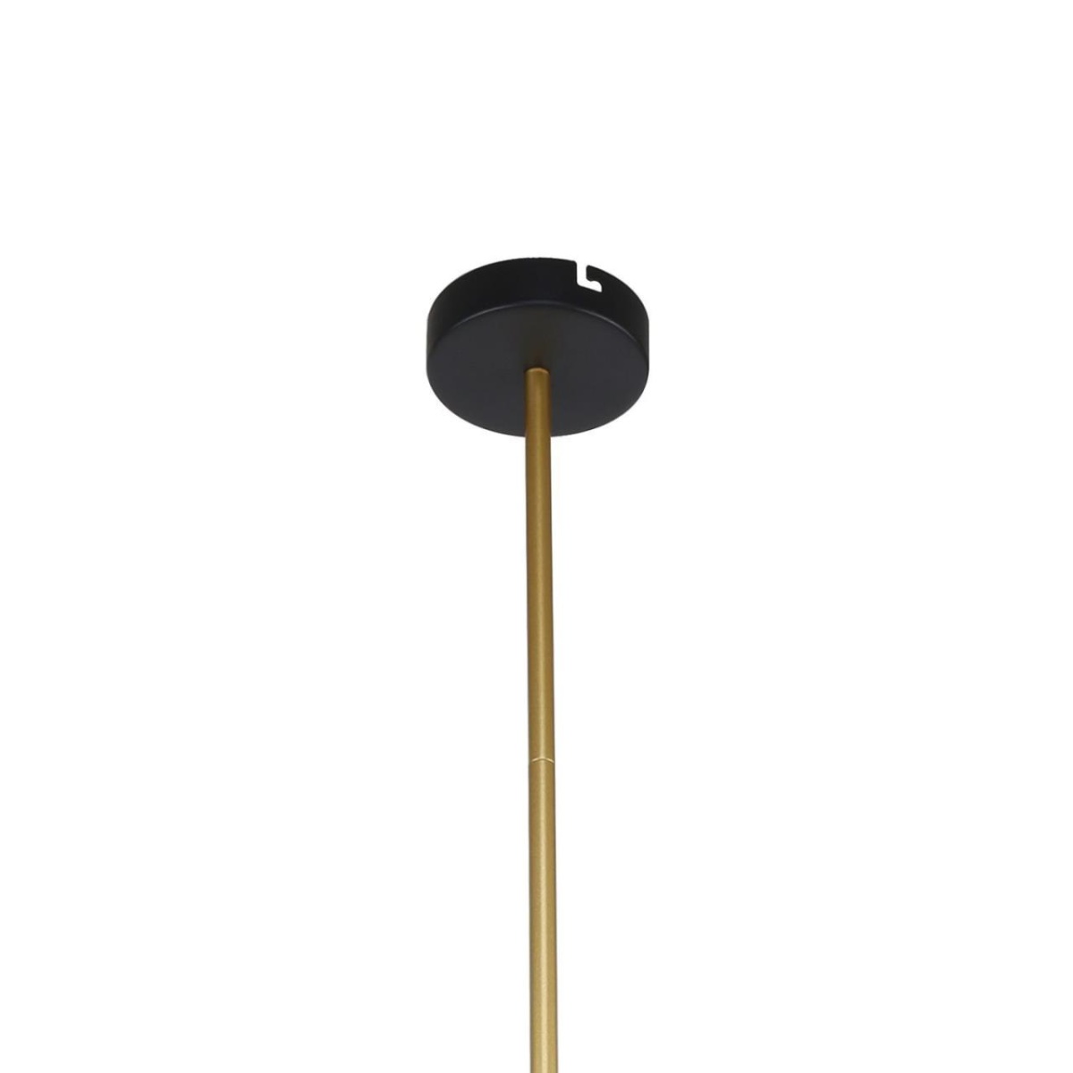 card-img