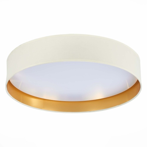 SLE300552-01 Светильник потолочный Белый/Белый, Серебристый LED 1*50W 3000K/4000K/5000K БЕРА