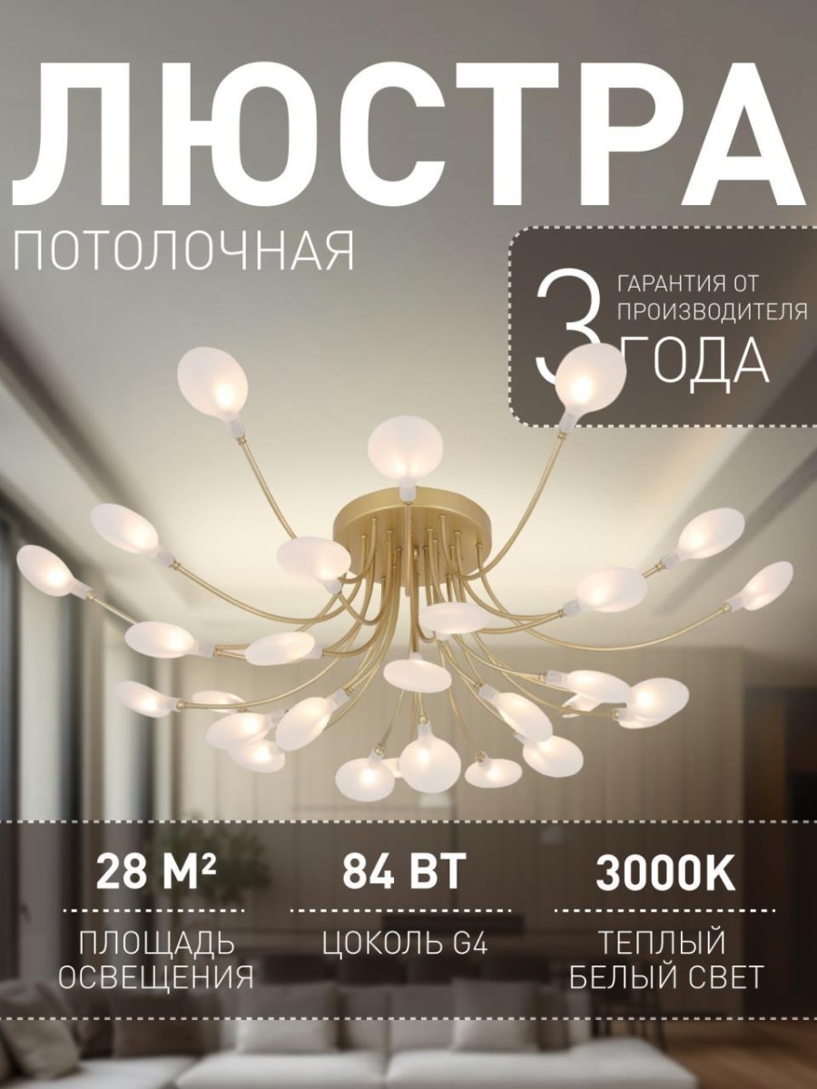 card-img