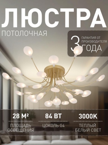 Потолочная люстра 4197-28C
