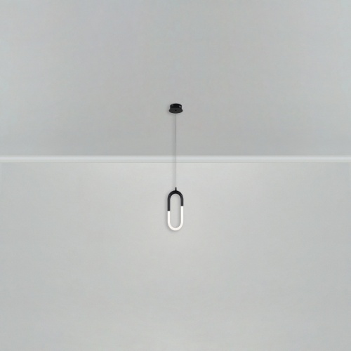 Подвесной светильник Freya FR6106PL-L13B