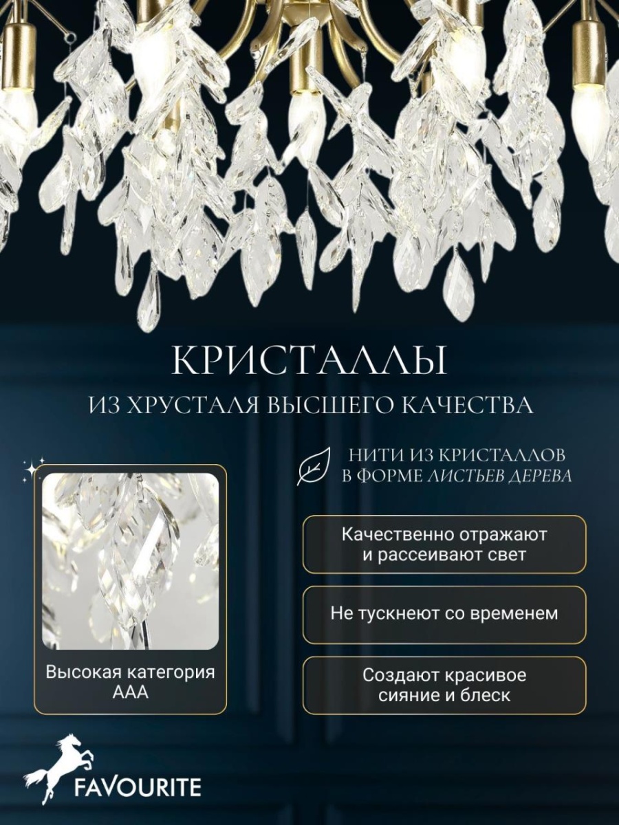 card-img