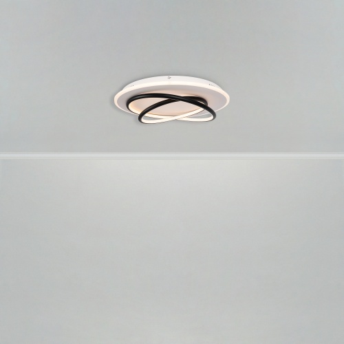 Потолочный светильник Freya FR6089CL-L120WB