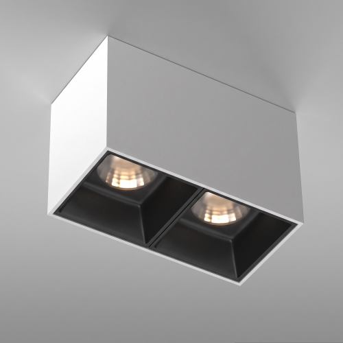 Потолочный светильник Technical C065CL-02-L12W3K-W