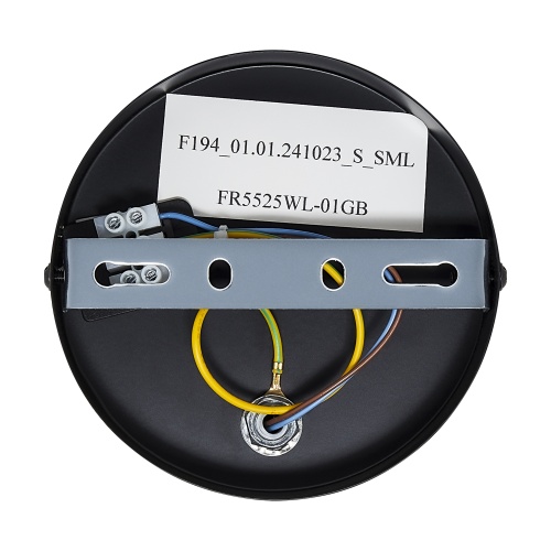 Настенный светильник (бра) Freya FR5525WL-01GB