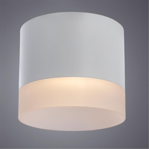 Накладной светильник Arte lamp A5554PL-1WH Светильник потолочный накладной CASTOR  для GX53 Ø93x109мм белый IP20