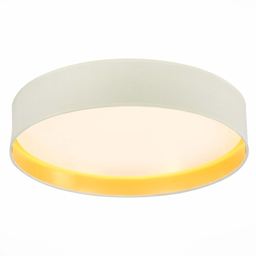 SLE300552-01 Светильник потолочный Белый/Белый, Серебристый LED 1*50W 3000K/4000K/5000K БЕРА