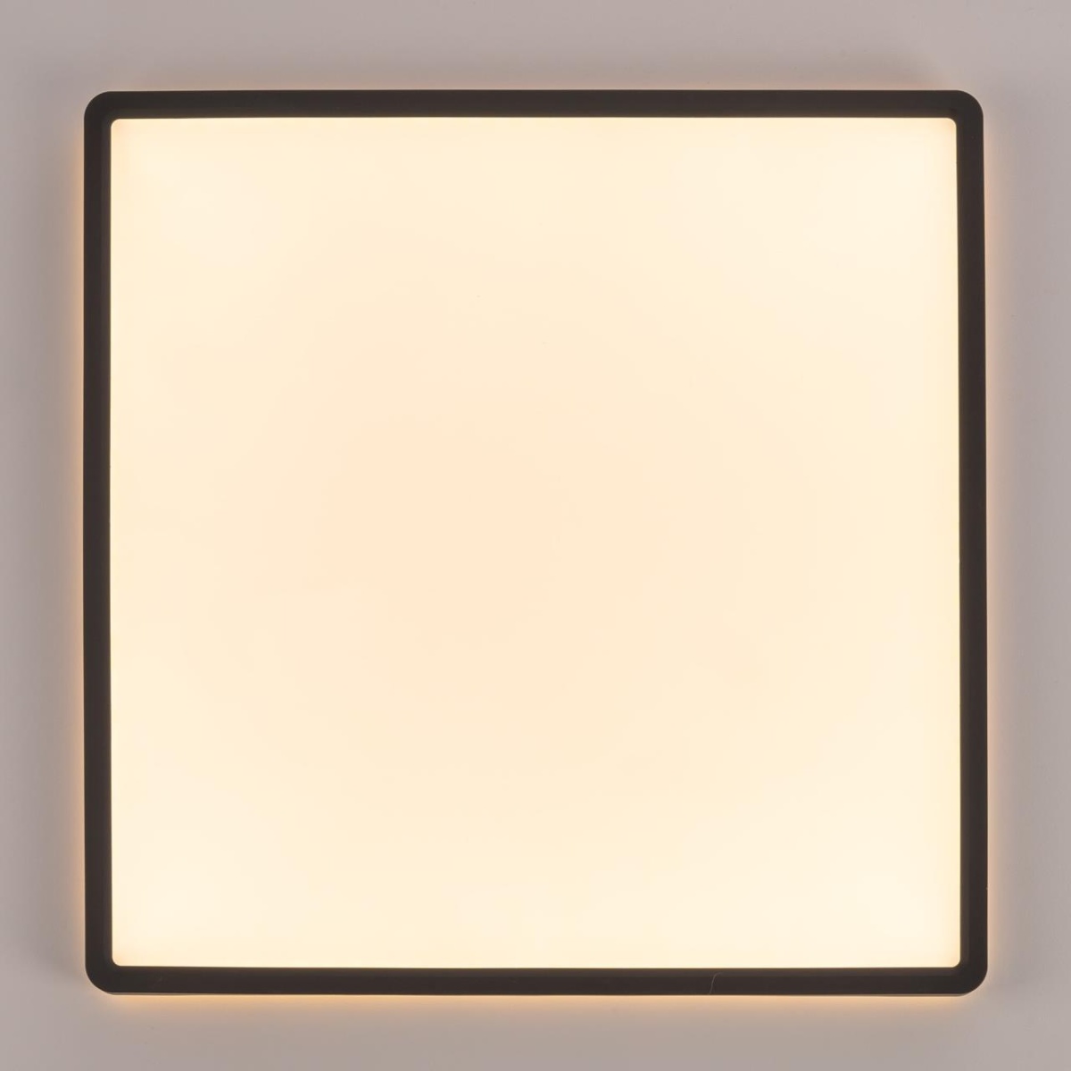 card-img