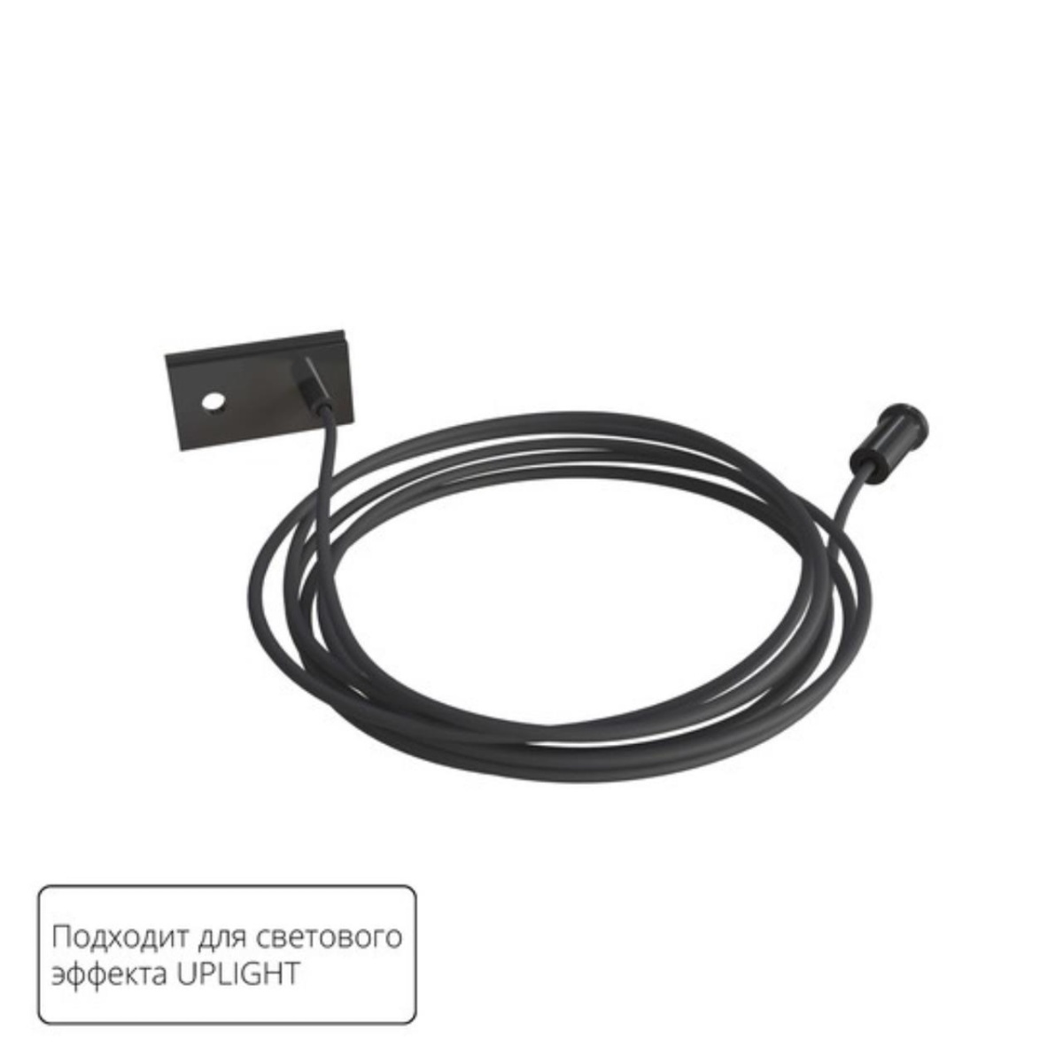 card-img