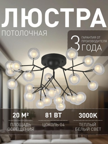 Потолочная люстра 2481-9U