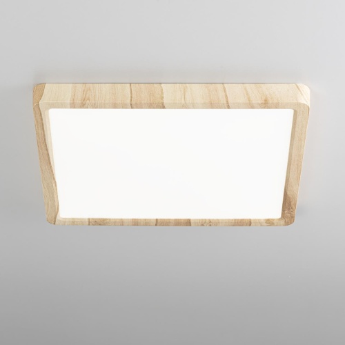 CL738K242V Бейсик Клен Св-к Накл. LED 24W*Мульти