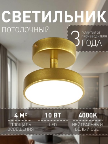 Потолочный светильник 3059-1P