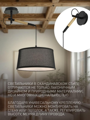 Настенно-потолочный светильник 3006-1P