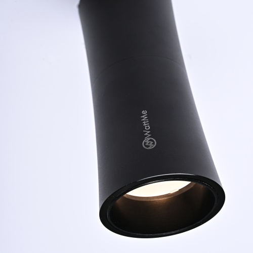 Потолочный светильник Zyppa Black H12 314102-26