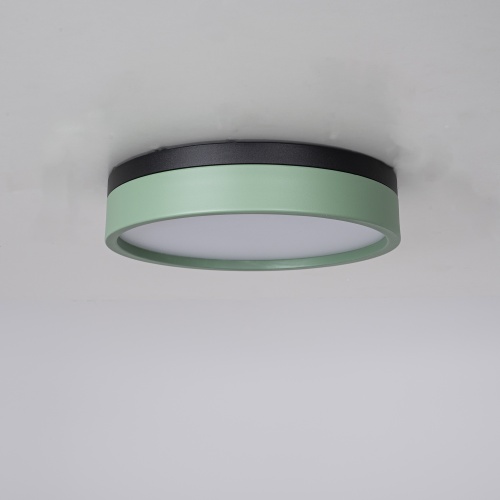 Потолочный светильник KIER D30 Green 181021-26