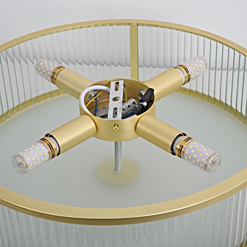 Потолочный светильник VENUS D45 204443-26