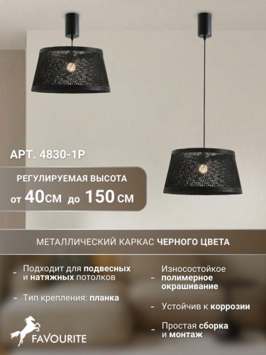 Подвес 4830-1P