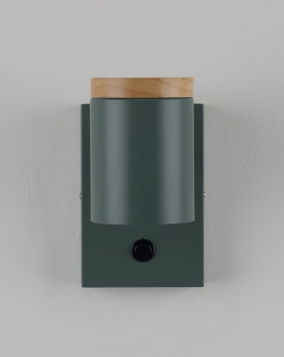 Светильник настенный Moderli V11294-1W Asheswood