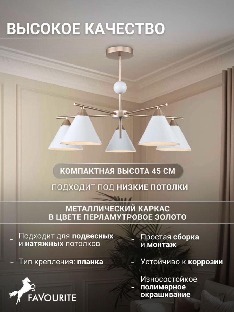 card-img