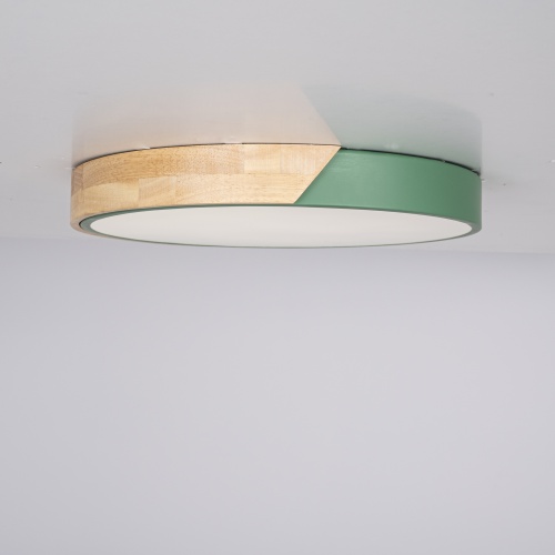 Потолочный светильник CLIP Green D40 193047-26