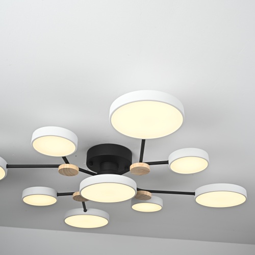 Потолочная люстра GAMMA D98 White 223762-23