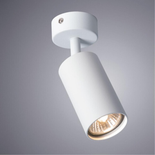 Arte lamp A3216PL-1WH Светильник потолочный накладной AQUARIUS для MR16 Ø55x100мм белый IP20