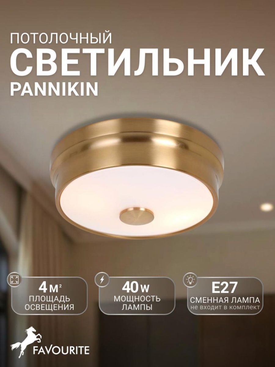 card-img