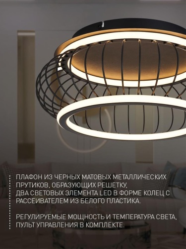 Потолочный светильник 4435-2C