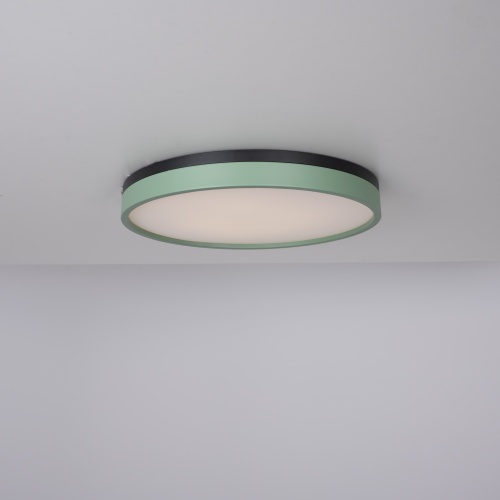 Потолочный светильник KIER D50 Green 181023-26