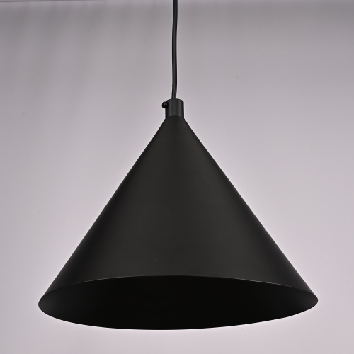 Подвесной светильник Roundew D29 Black 302464-26