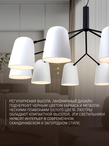 Подвесная люстра 2762-10P