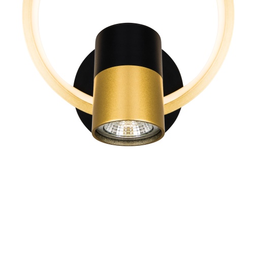 Настенный светильник (бра) Freya FR6074WL-L12GB