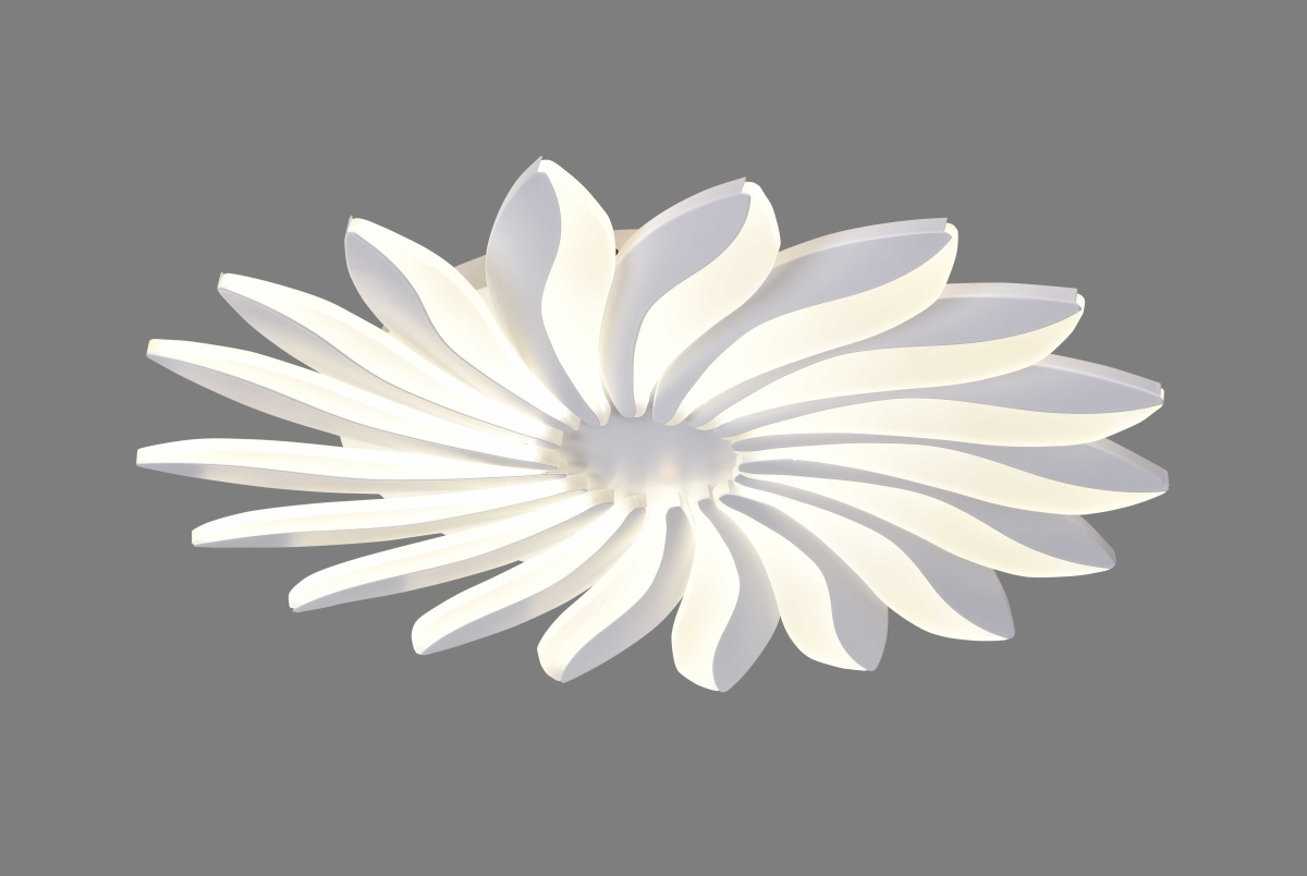 card-img