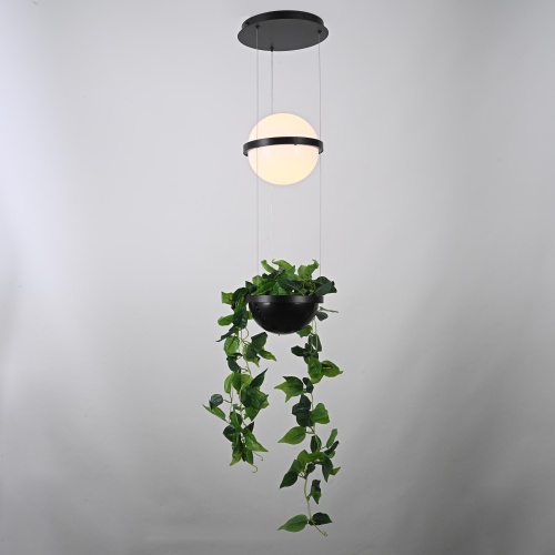 Подвесной светильник PALMA Wall lamp шар + вазон 168489-22