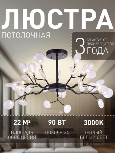 Потолочная люстра 2480-10P