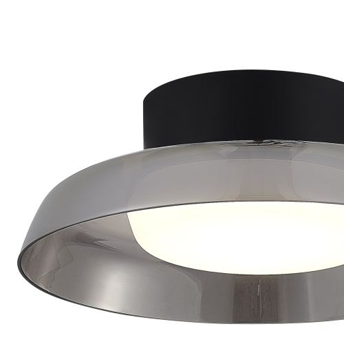 SL6019.412.01 Светильник потолочный ST-Luce Черный/Дымчатый, Белый LED 1*36W 3000K ФОРЕЙ