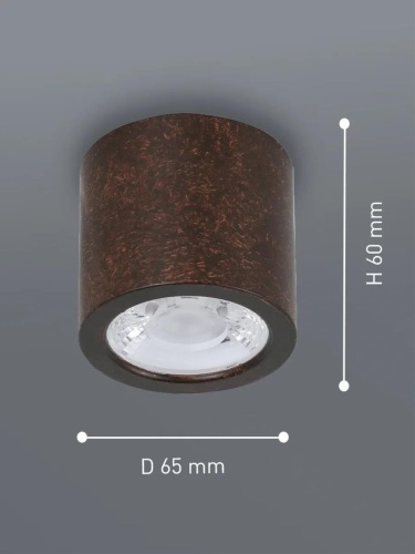 Потолочный светильник 2809-1C