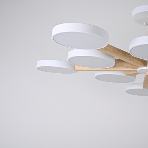 Потолочная люстра TURNA L10 White 228850-26