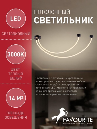 Потолочный светильник 4217-2U