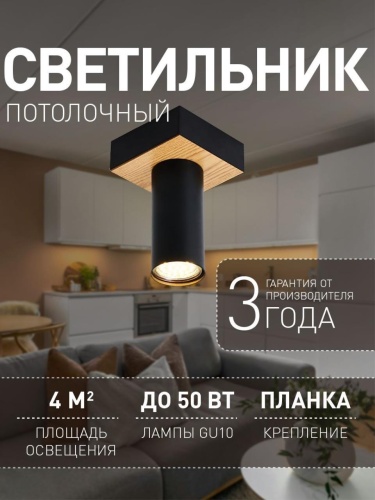Потолочный светильник 4431-1C
