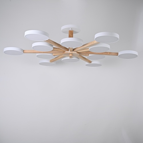 Потолочная люстра TURNA L12 White 228851-26